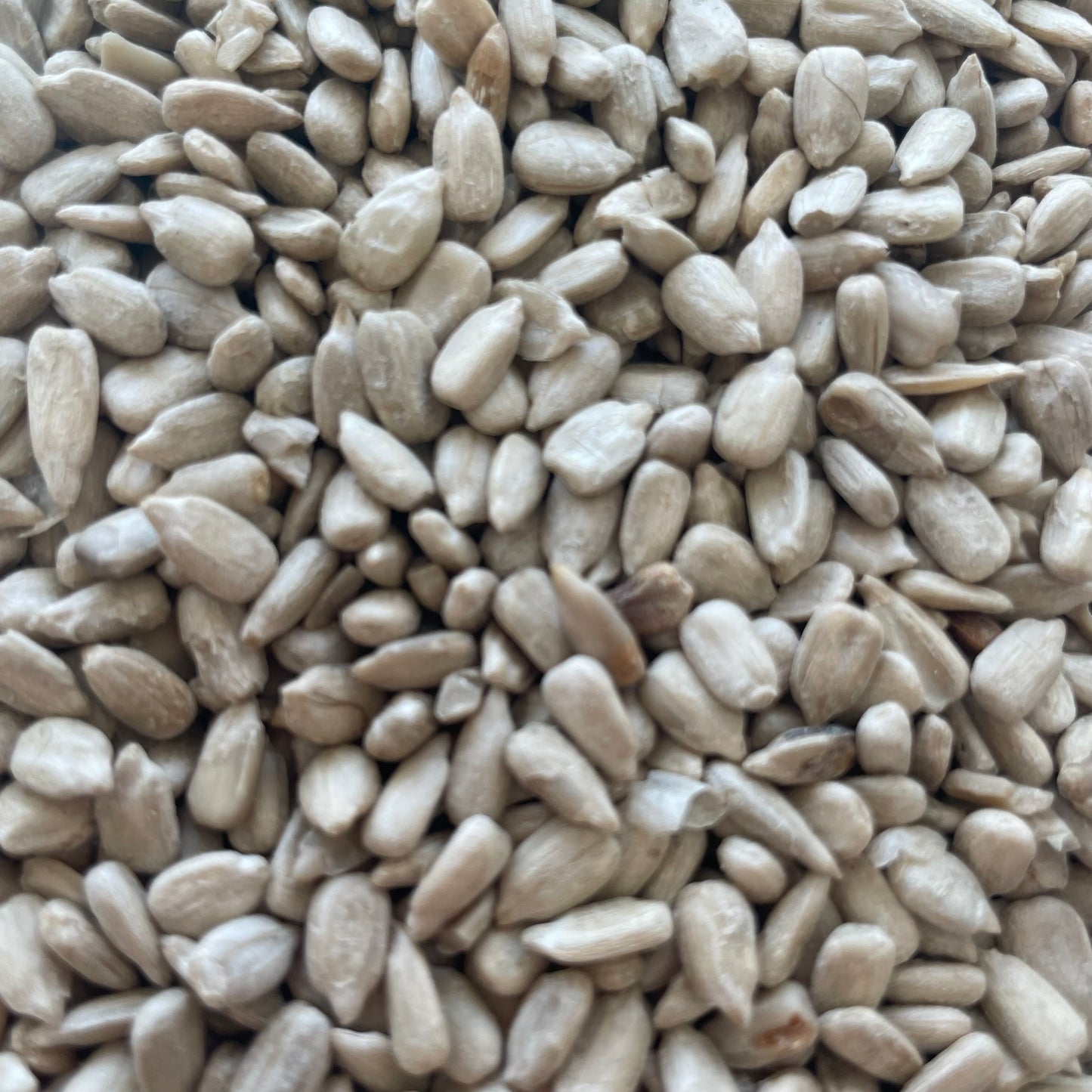 + Roasted & Salted Sunflower Seeds ORGANIC