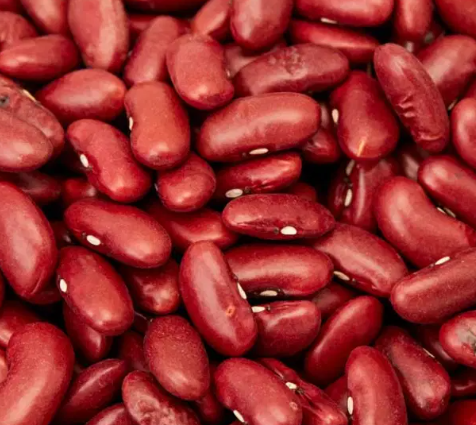 + Kidney Beans ORGANIC