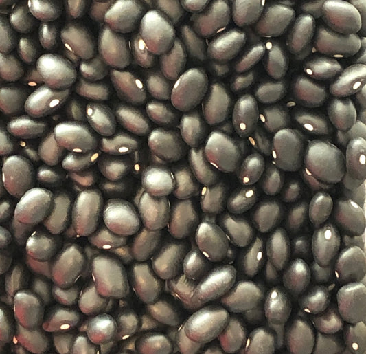 + Black Turtle Beans ORGANIC