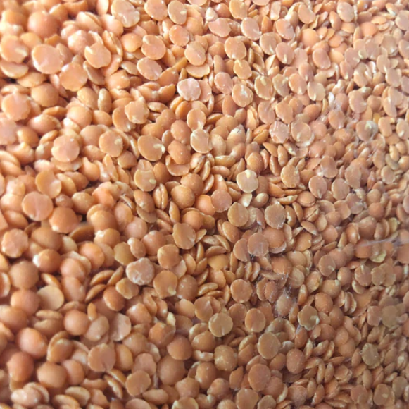 + Red Lentils ORGANIC