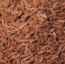 +  Caraway Seed ORGANIC