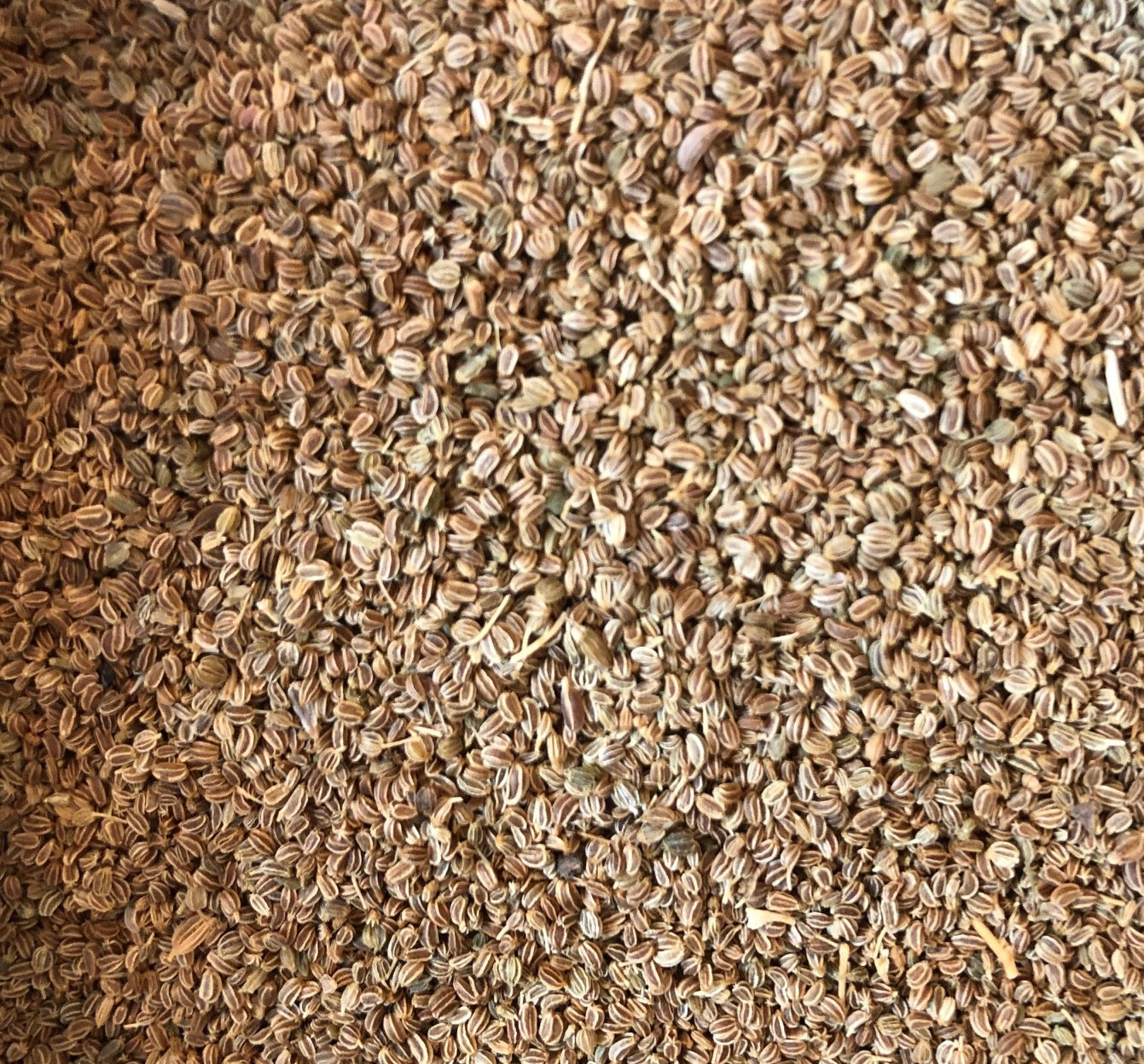 + Celery Seed ORGANIC